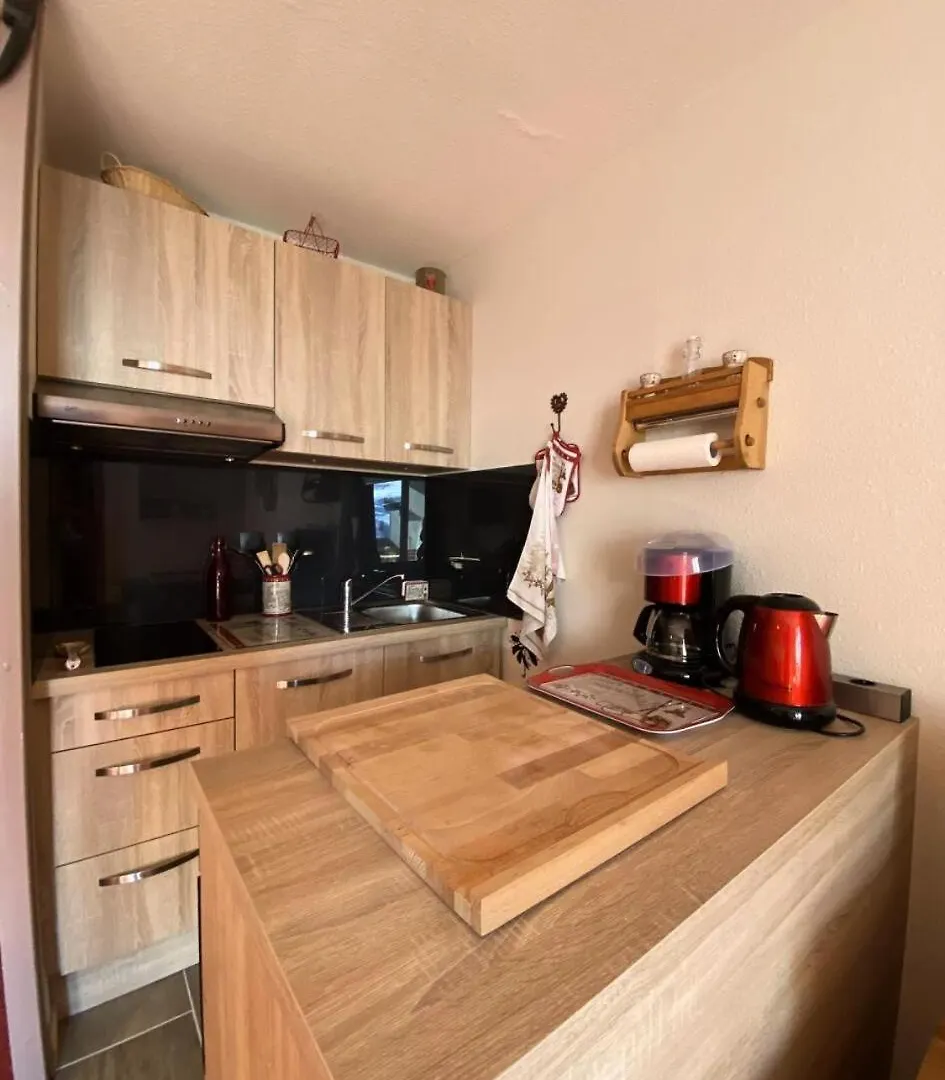 Apartment Residence Galibier III - Jolie T2 Au Pieds Des Pistes Mae-5651 Venosc
